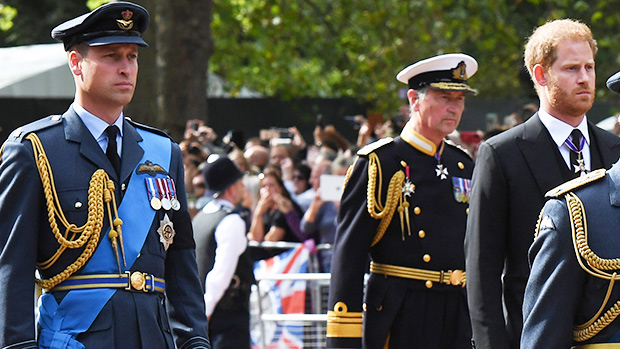 William & Harry Walk Together In Royal Processional For Queen’s Coffin – Hollywood Life
