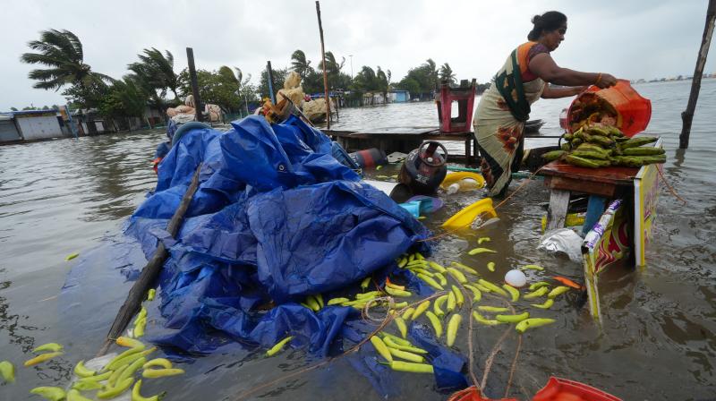 Cyclone Mandous destroys acres of standing crop in Andhra Pradesh