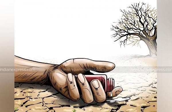 Farmer suicides surge in Maharashtra, average of eight farmers end life every day-