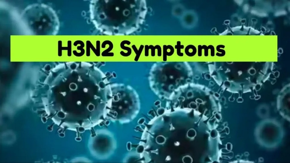H3N2 cases increasing rapidly in India pigs helping in spreading this virus know how to prevent influenza h3n2 | देशभर में तेजी से बढ़ रहे H3N2 के मामले, ये जानवर वायरस को फैलाने में कर रहा मदद; जाने कैसे करें बचाव?