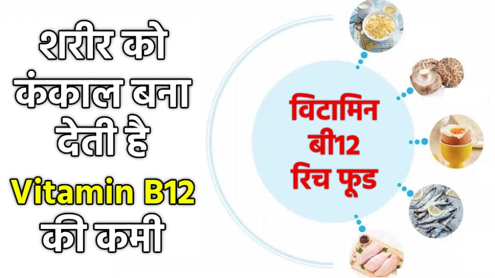 Vitamin B12 deficiency makes your body a skeleton start eating b12 rich foods immediately | Vitamin B12 की कमी शरीर को बना देती है कंकाल, तुरंत खाना शुरू कर दें ये 5 चीजें