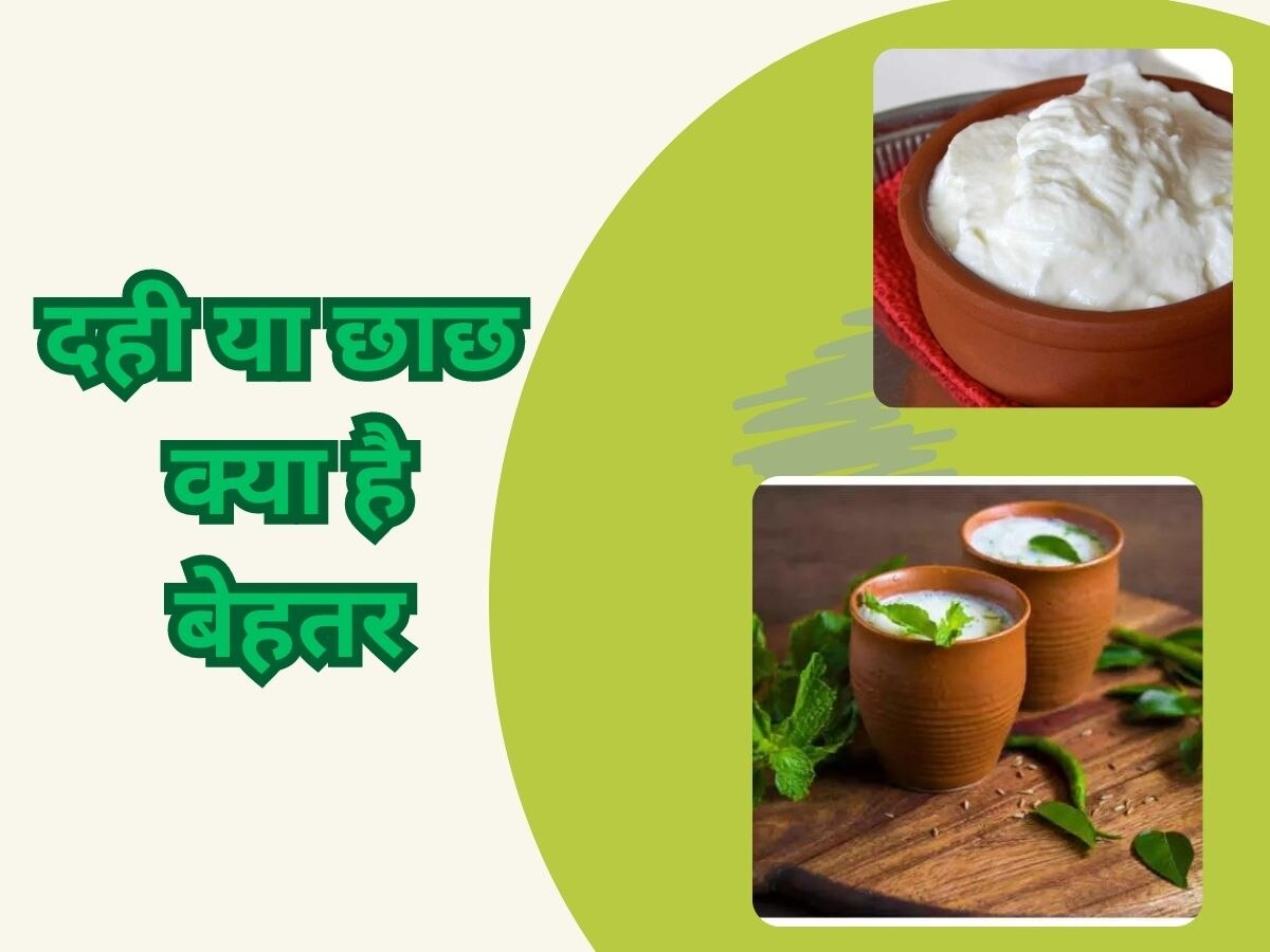 curd or buttermilk after meal in summers which is better for cool body | Buttermilk Benefits: भोजन के बाद दही या छाछ…किससे रहेगी बॉडी कूल? जानें फायदे