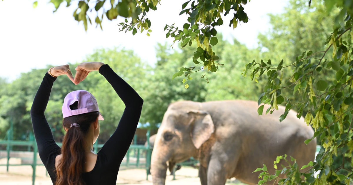 Photos: बॉलीवुड एक्ट्रेस दिशा पाटनी ने हाथियों के साथ मनाया विश्व पर्यावरण दिवस, देखें तस्वीरें