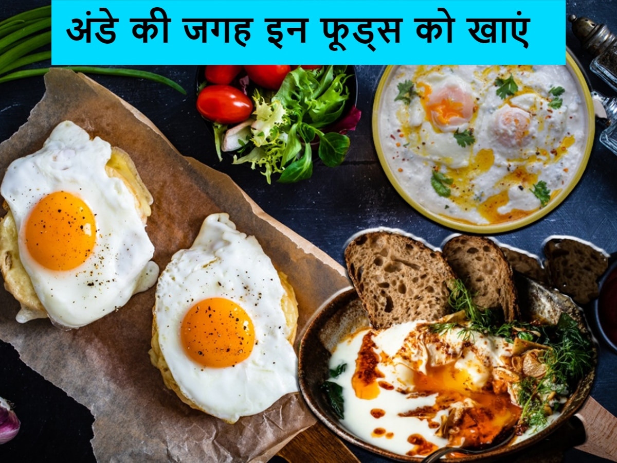 vegetarian diet plan for people who do not eat eggs include these foods | Veg Diet Plan: अंडा नहीं खाने वाले लोगों के लिए खास डाइट, जानें कौन से फूड्स हैं बेस्ट…