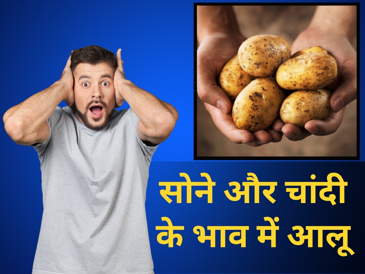 Do you know about world’s costliest potato which sell at price of gold and silver le bonnotte potatoes | World’s Costliest Potato: सोने और चांदी के भाव बिकता है ये आलू, साल में सिर्फ 10 दिन होती है बिक्री