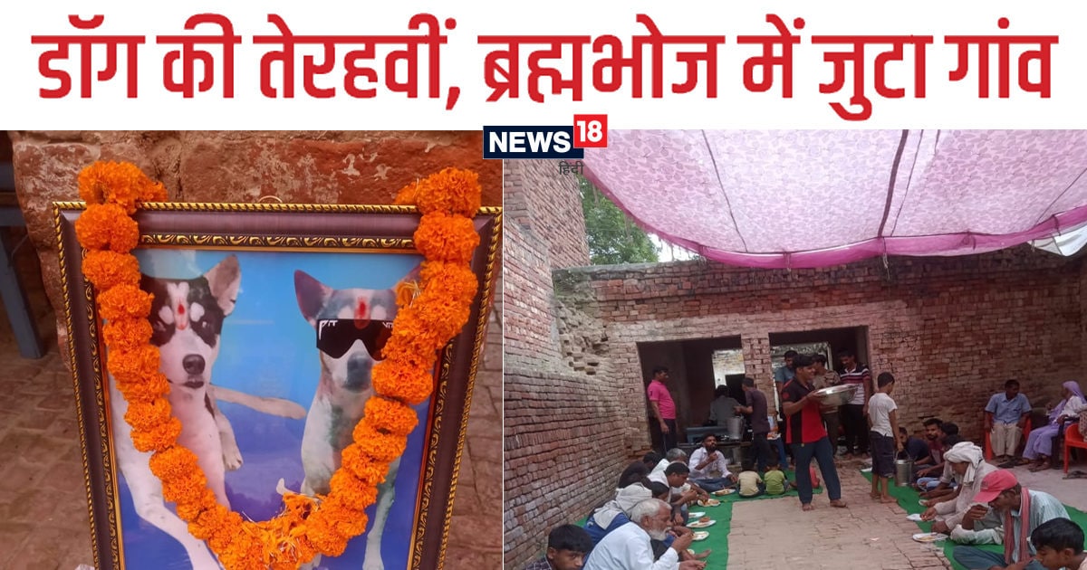 Havan worship Terahvin Brahmabhoj on Dog death villagers immersed in grief due to Tommy departure – News18 हिंदी