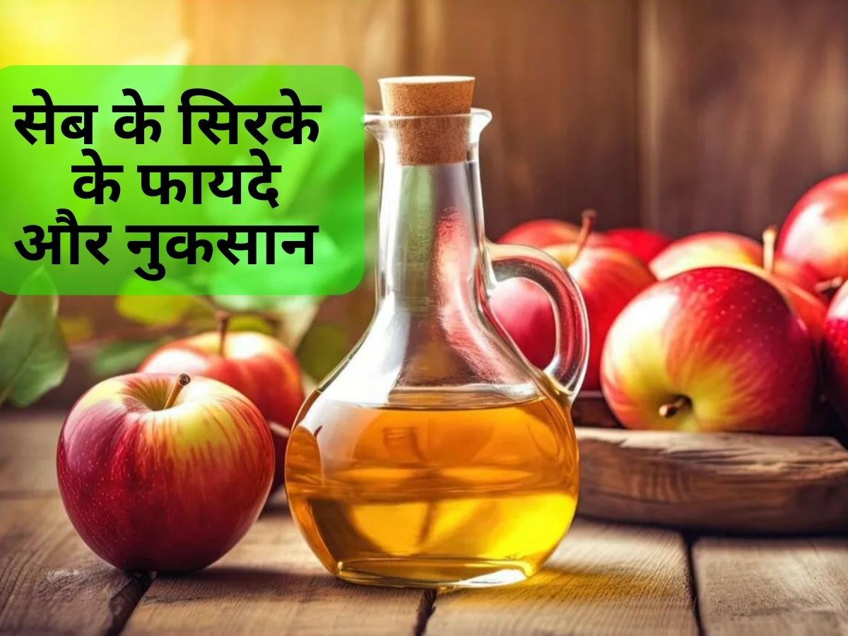 What Are The Health Benefits of Apple Cider Vinegar Seb Ka Sirka Peene Ke Fayde Side Effects on Teeth | Apple Cider Vinegar: इन परेशानियों की छुट्टी कर देता है सेब का सिरका, लेकिन जरा संभल कर करें सेवन