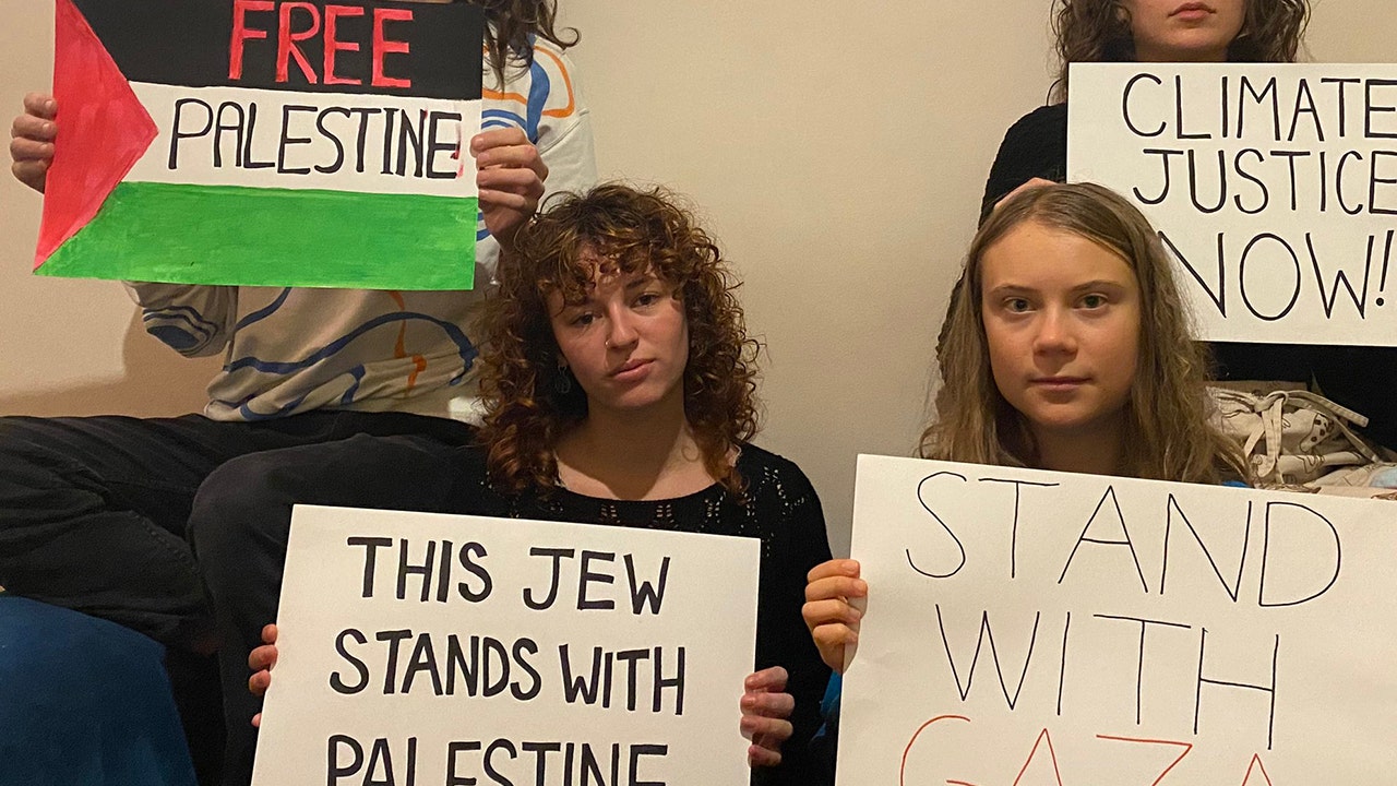 Greta Thunberg posts then deletes ‘free Palestine’ post after pushback: ‘I was completely unaware’