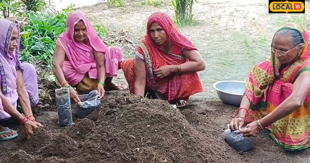Women are becoming self-reliant by joining the Rural Livelihood Mission Scheme in Rae Bareli – News18 हिंदी