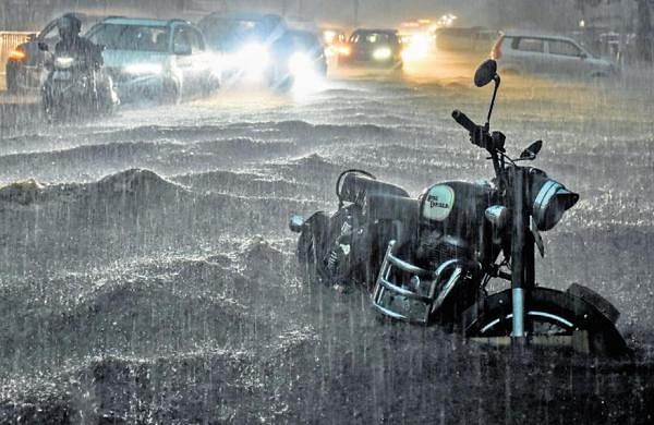 24 people killed in unseasonal rains, lightning strikes in Gujarat-