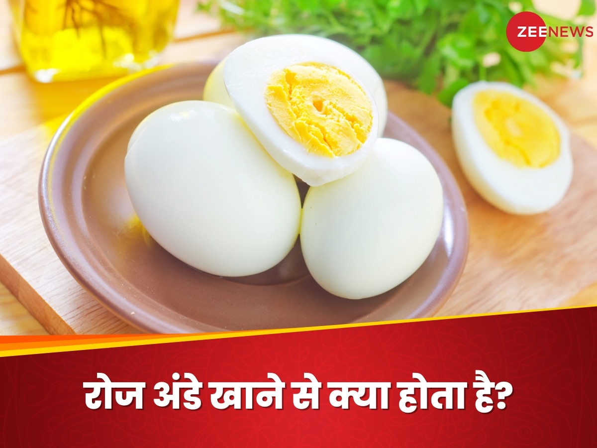 Is it safe to eat eggs every day in winter know what experts say | Eggs: क्या सर्दियों में हर दिन अंडे खाना सेफ है? जानिए क्या कहते हैं एक्सपर्ट