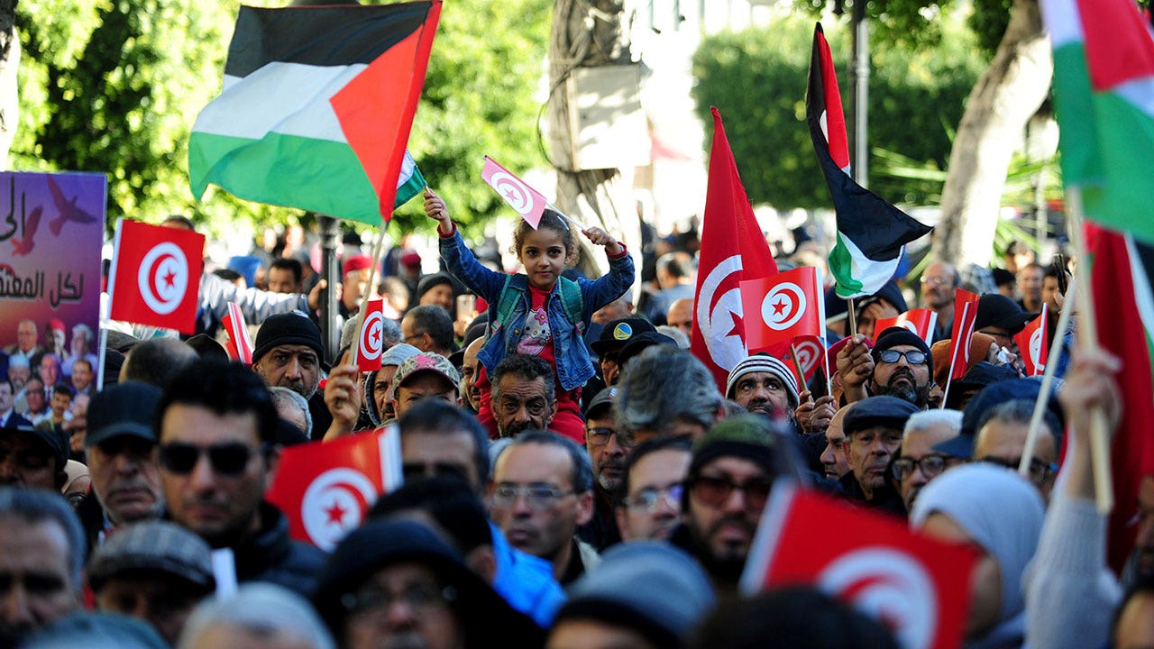 Tunisian citizens rally against President Kais Saied, alleging backsliding