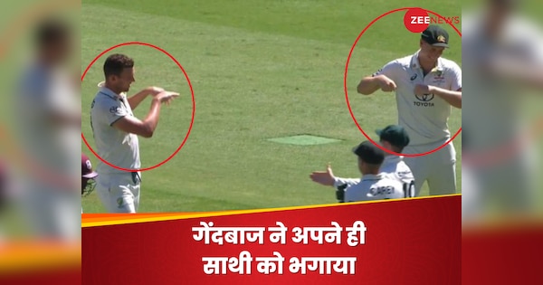AUS vs WI Test Video Josh Hazlewood shoos away Covid positive Cameron Green during wicket celebration|Watch: विकेट का जश्न मनाते गेंदबाज ने अपने ही साथी खिलाड़ी को भगाया दूर, हैरान कर देगी ये बड़ी वजह