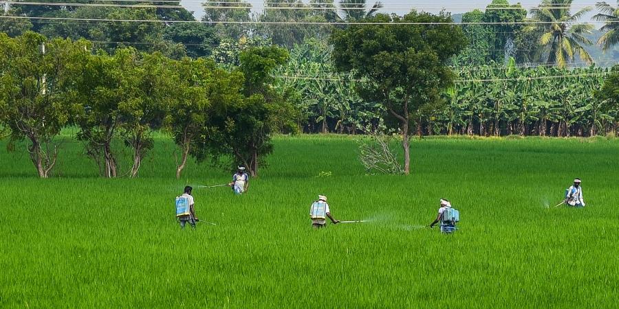 Farmers’ union calls for rural bandh on Feb 16