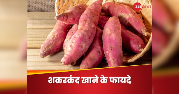 Shakarkand Khane Ke Fayde Health Benefits Of Sweet Potato Immunity Digestion Heart Weight | Sweet Potato: सेहत का खजाना है उबला हुआ शकरकंद, खाएंगे तो मिलेंगे ये फायदे