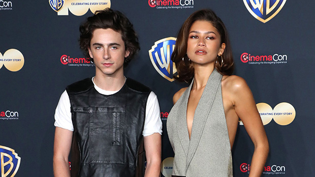 Timothee Chalamet and Zendaya Talk About Their Friendship in BTS Video – Hollywood Life