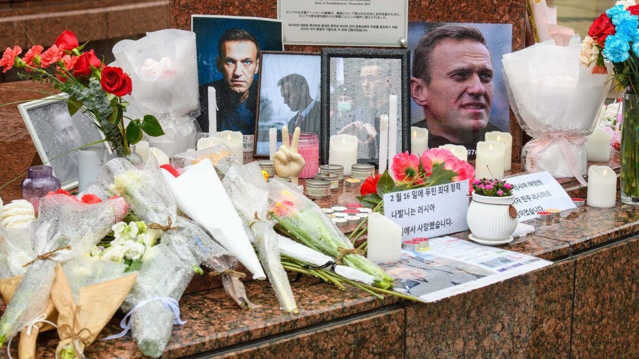 Russian court to hear lawsuit brought by Alexei Navalny’s mother