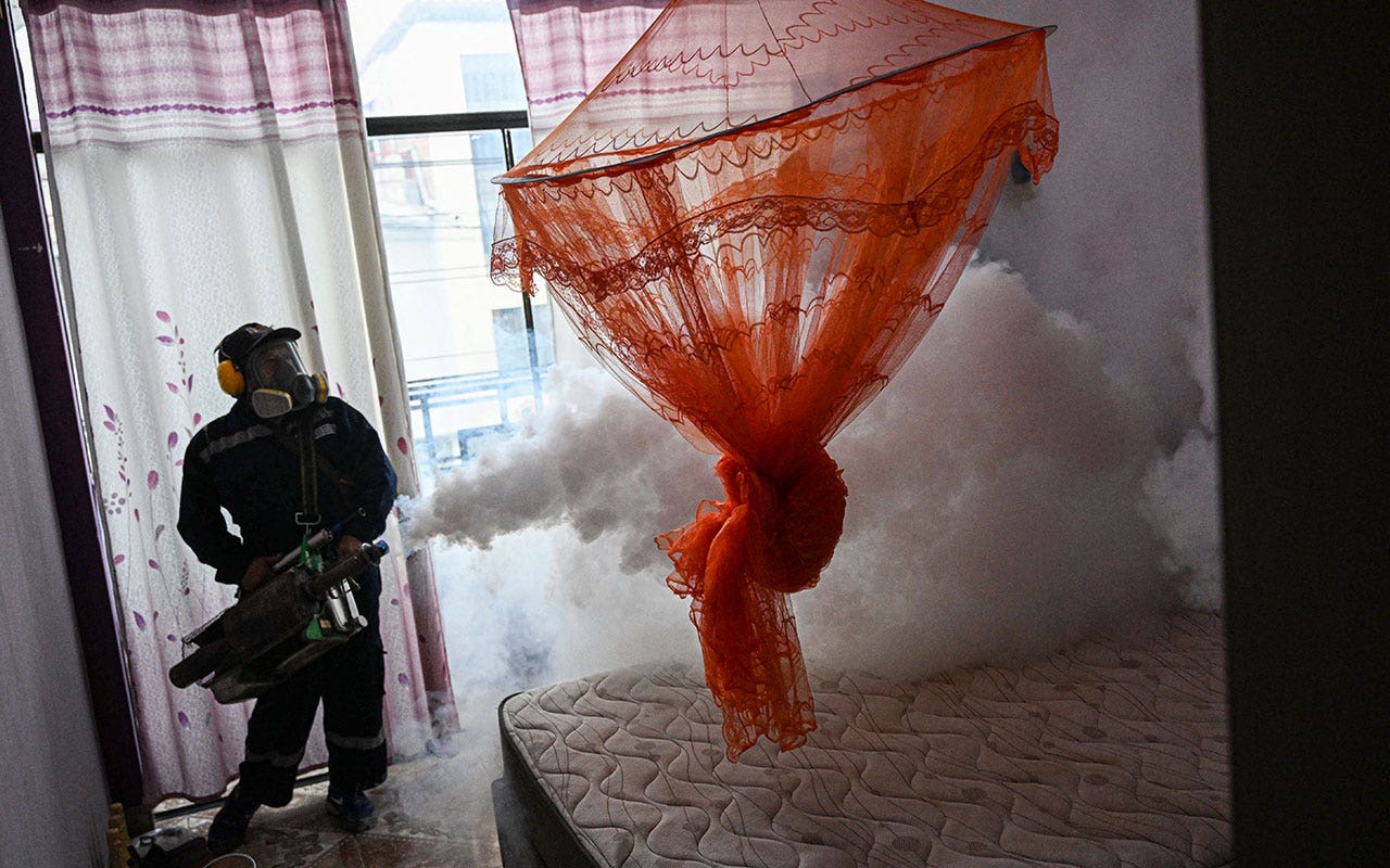 Peruvian officials declare health emergency as dengue cases soar