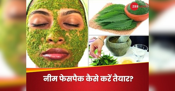Neem Leaf Face Pack For Skin During Rain Care Mix Honey Milk Tea Tree Oil Multani Mitti | Neem For Skin: बारिश के दिनों में चेहरे पर निकलने लगे हैं दाने? 3 तरह से बनाएं नीम फेस पैक, दूर होंगे कील-मुंहासे
