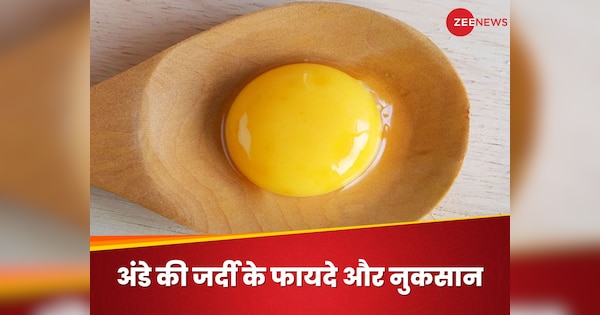 You Should Eat Egg Yolks Or Not Ande Ki Zardi khani chahiye ya nahi dietician Suggest | Egg Yolk: हमें अंडे की जर्दी खानी चाहिए या नहीं? डाइटीशियन ने दी सलाह