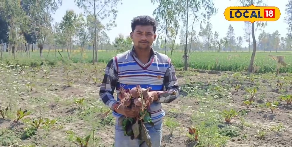 बागवानी खेती से बदली युवा किसान की तकदीर, घर बैठे कर रहे लाखों रुपए की कमाई