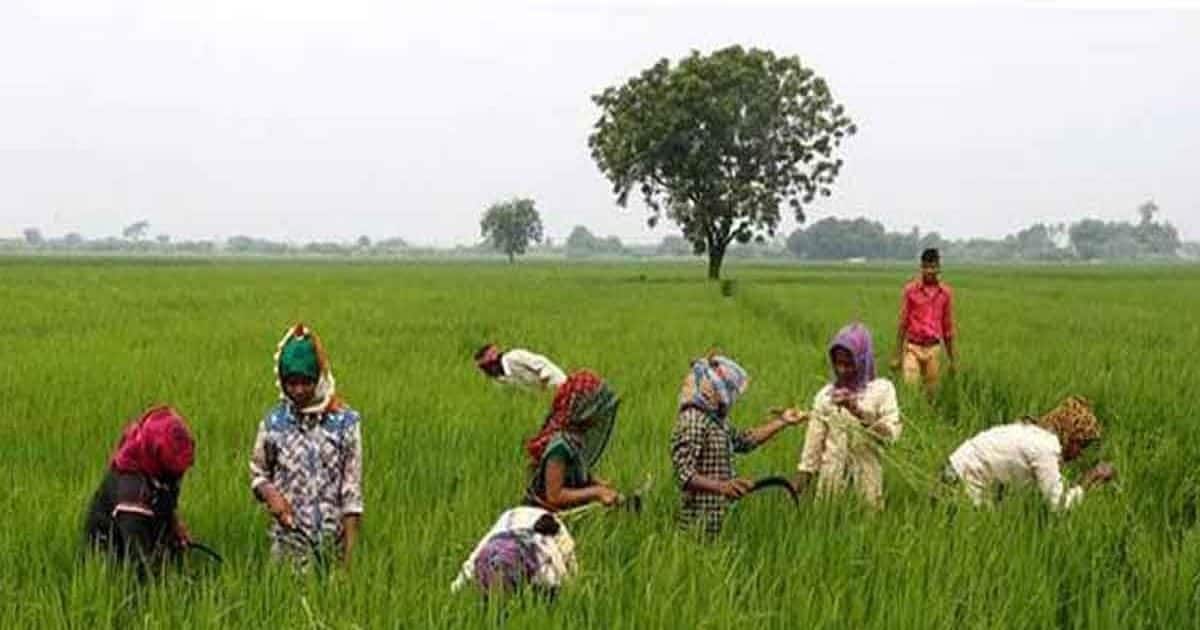 किसानों को 177 करोड़ मिलेंगे, योगी सरकार का बड़ा ऐलान, इनको मिलेगा फसलों का मुआवजा – News18 हिंदी