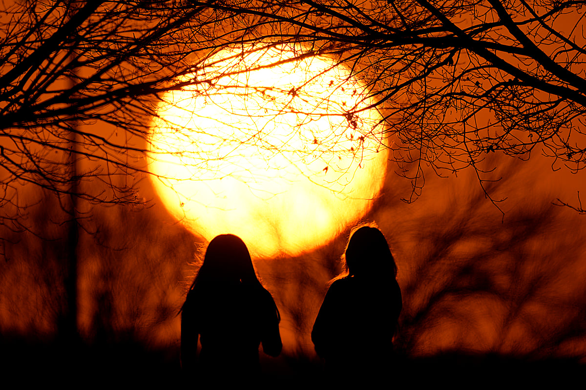 February breaks record of historic high temperatures