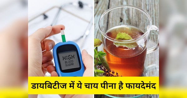 Best Teas for People With Diabetes in Hindi | Tea For diabetes: डायबिटीज मरीजों के लिए सेहतमंद हैं ये 5 चाय, Blood Sugar कंट्रोल रखने में मिलती है मदद