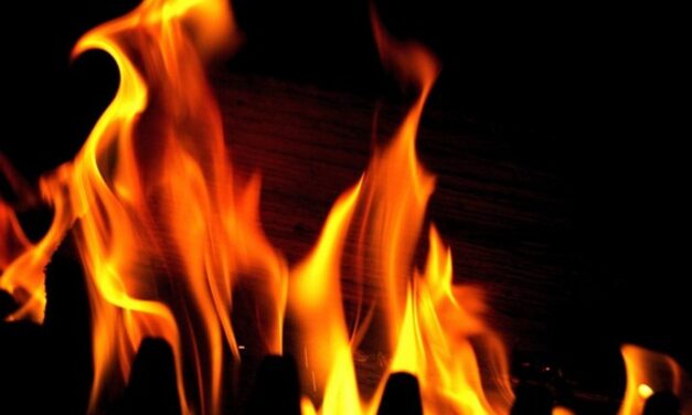 Eight students injured in hostel building fire in Kota