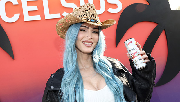 Megan Fox Shows Off Blue Hair at Coachella 2024: Photos – Hollywood Life