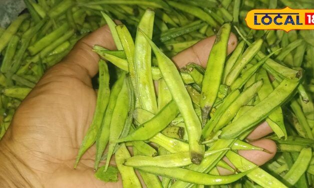 This vegetable available in summer is a super food, its leaves and powder – News18 हिंदी
