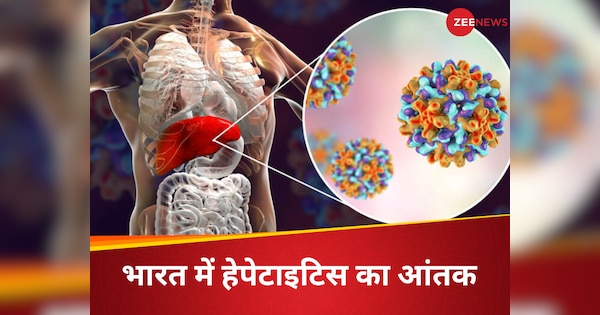 WHO data states after china hepatitis B C cases are high in india know the details about virus in hindi | Hepatitis Virus: WHO की रिपोर्ट- चीन के बाद हेपेटाइटिस बी और सी के सबसे ज्यादा मामले भारत में, जानें इस बीमारी के बारे में हर जरूरी चीज
