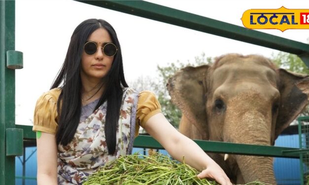adah Sharma who came into the news with The Kerala Story, reached Elephant and Bear Conservation Center – News18 हिंदी